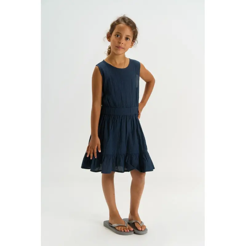 The New Navy Blazer Tntessa S_L Dress 2