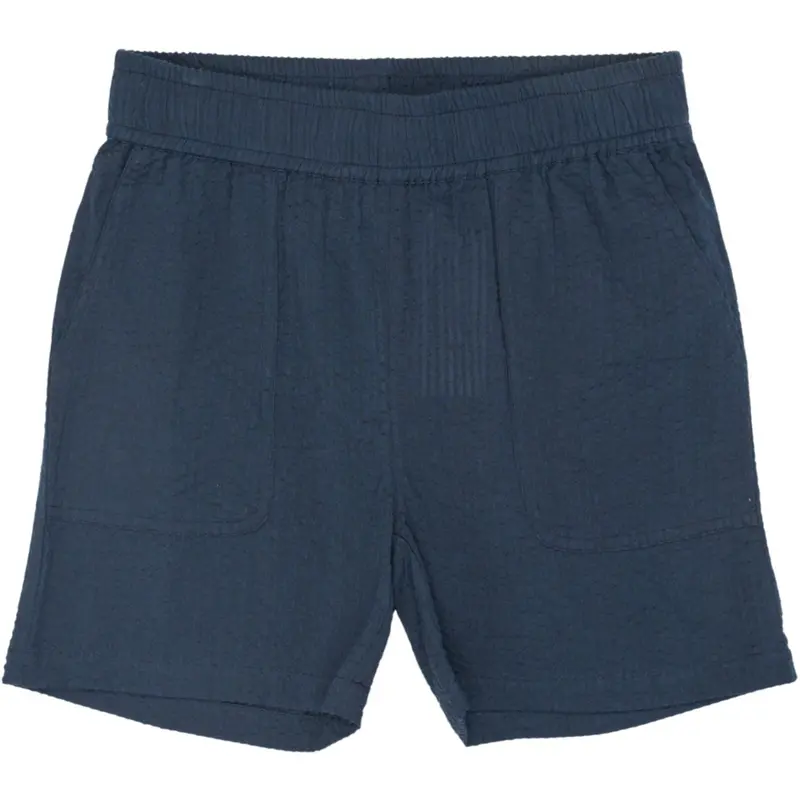 The New Navy Blazer Tntim Shorts 1