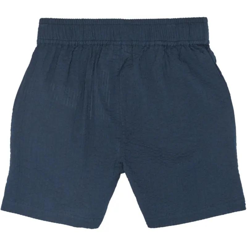 The New Navy Blazer Tntim Shorts 4