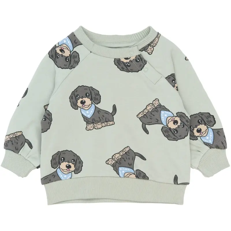 The New Siblings Aqua Gray Aop Tnsbsofus Sweatshirt 1