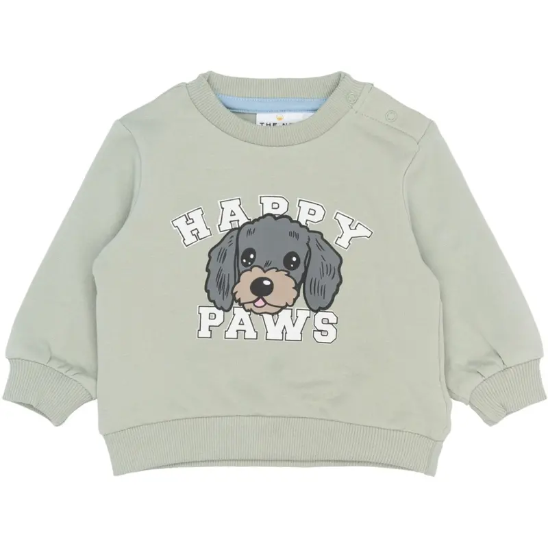 The New Siblings Aqua Gray Tnsbsacarias Sweatshirt 1