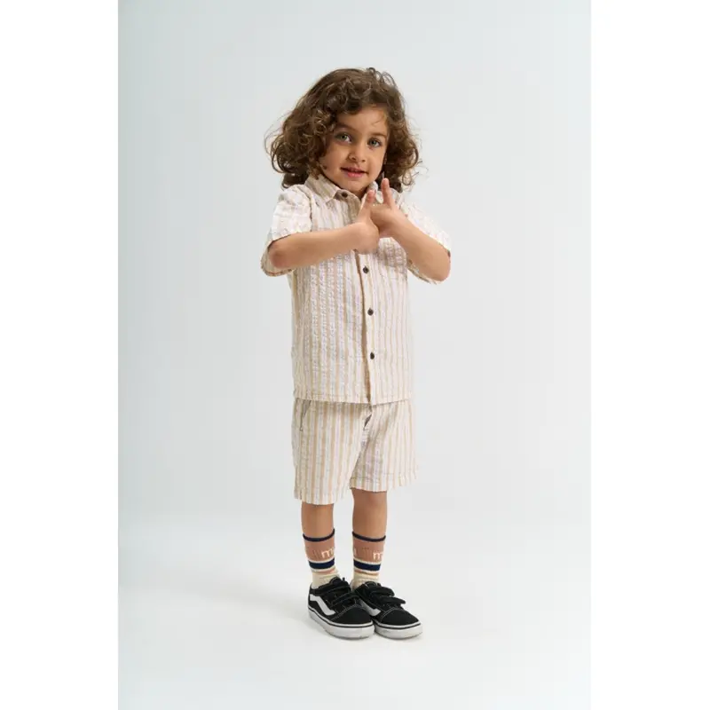 The New Siblings Humus Striped Tnstsmitty S_S Shirt 2