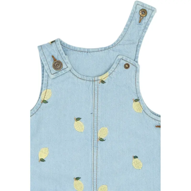 The New Siblings Light Blue Denim Emb Tnstsaja S_L Denim Dress 3