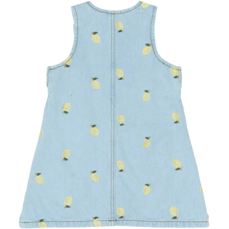 The New Siblings Light Blue Denim Emb Tnstsaja S_L Denim Dress 4