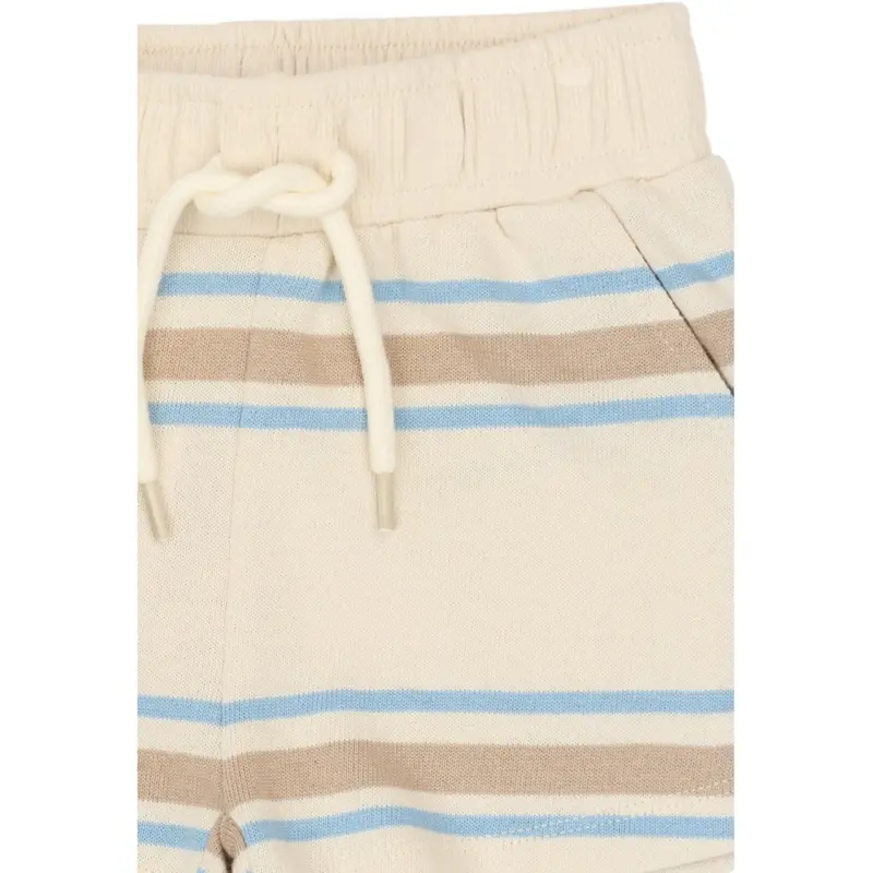 The New Siblings Multi Striped Tnsttheodor Shorts 3