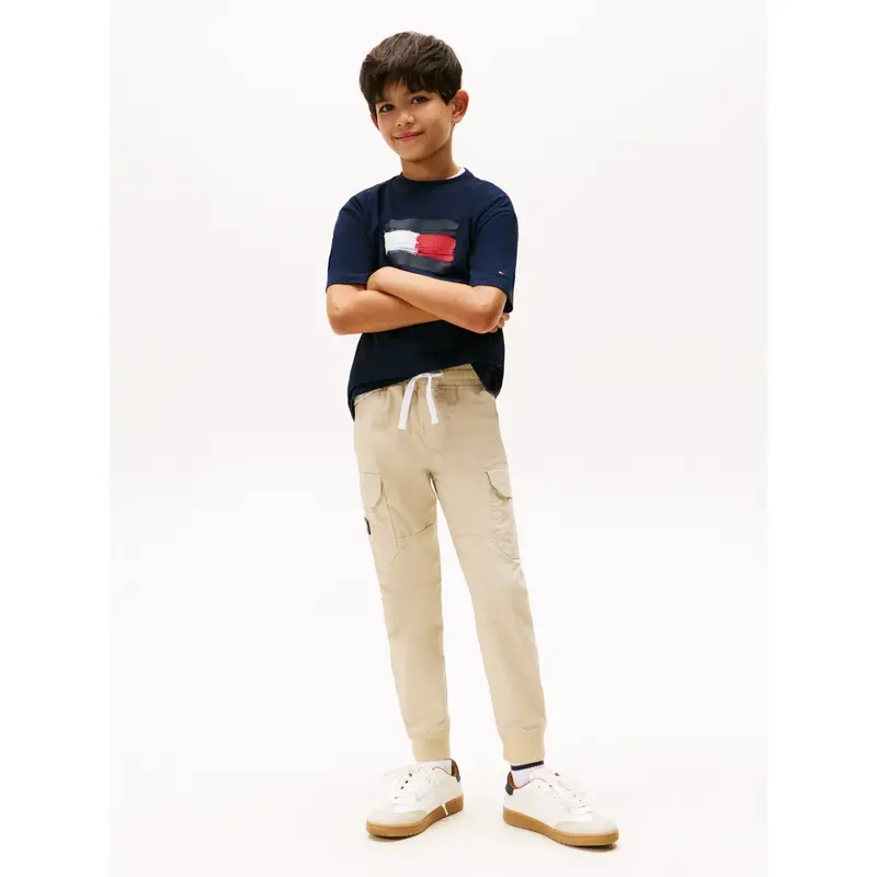 Tommy Hilfiger Dark Night Navy Flag Archive Tee Ss 4