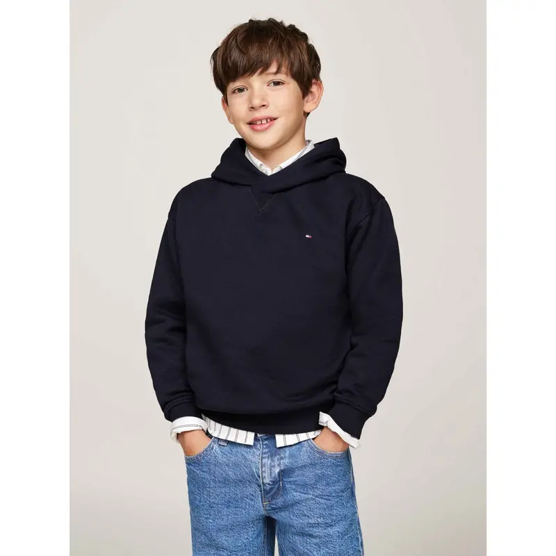 Tommy Hilfiger Desert Sky U Timeless Fleece Hoodie 2