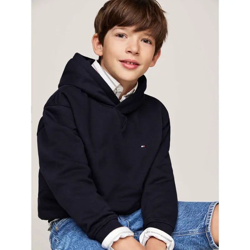 Tommy Hilfiger Desert Sky U Timeless Fleece Hoodie 3