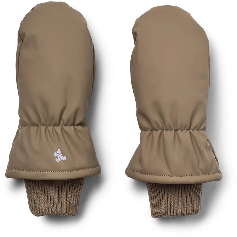 Wheat Dry Wood Winter Mittens Stormy 1