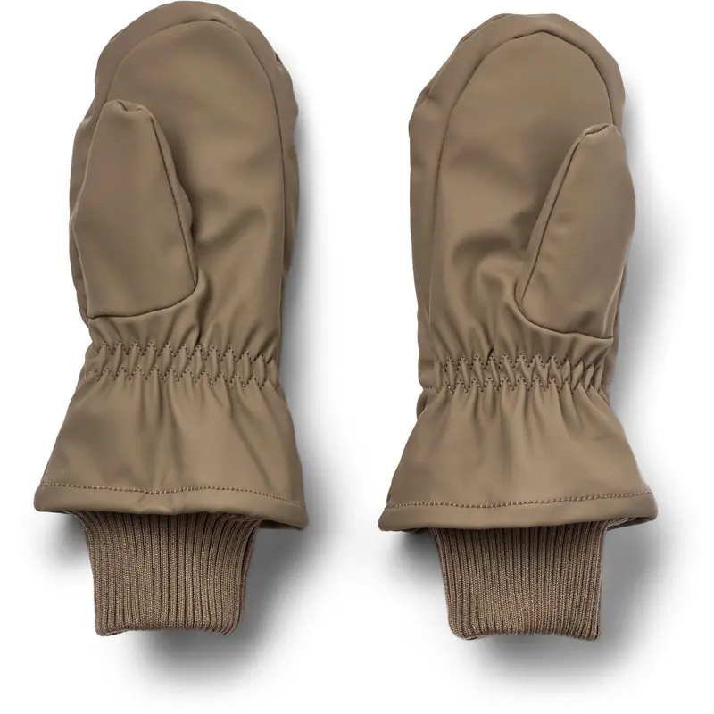 Wheat Dry Wood Winter Mittens Stormy 2