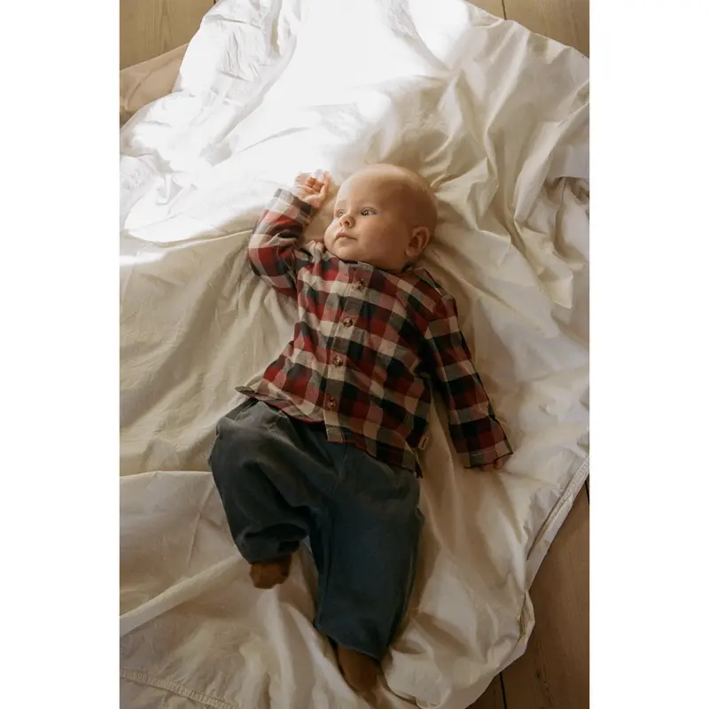 Wheat Red Blue Check Shirt Shelby 2