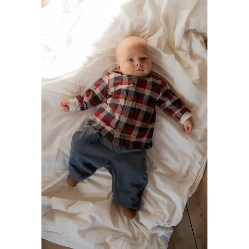 Wheat Red Blue Check Shirt Shelby 3