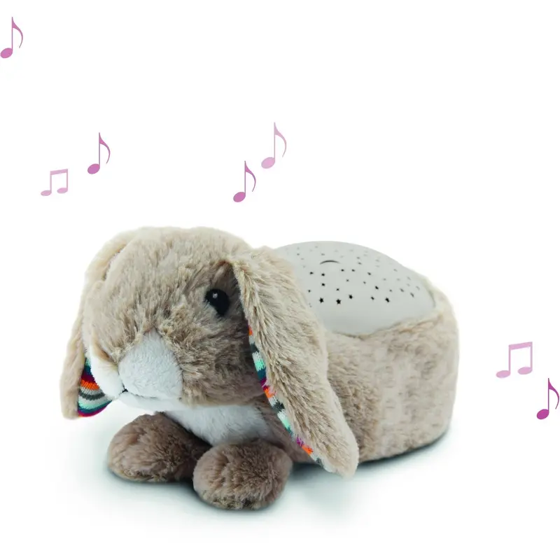 Zazu Brown Ruby The Rabbit Projector 1