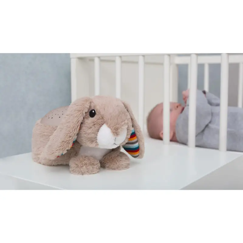 Zazu Brown Ruby The Rabbit Projector 2