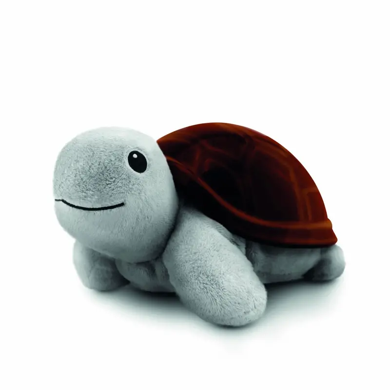 Zazu Brown Tim The Turtle Projector 1