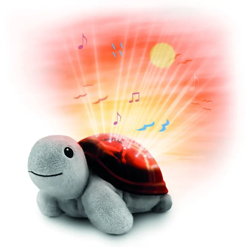 Zazu Brown Tim The Turtle Projector 2